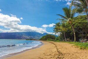 beach, landscape, hawaii, maui, kihei, true, palmer, mountains, sea, hawaii, hawaii, hawaii, hawaii, hawaii, nature, maui
